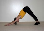 Cours et stages de Yoga