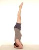 Cours et stages de Yoga